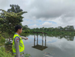 Muncul Buaya di Dalam Kolam, Polsek Purwodadi Polres Musi Rawas Sigap ke TKP dan Himbau Warga Berhati-Hati