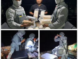 Bakamla RI Gagalkan Penyelundupan 60 Ribu Ekor Baby Lobster di Perairan Kepulauan Seribu