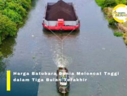 Harga Batubara Dunia Melambung Tinggi Tembus USD 113,85 per Ton, Dampak Positif Sektor Pertambangan di Berau