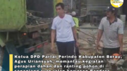 Legislator Agus Uriansyah Pantau Penataan Pohon, Dorong Lingkungan Jalan Teluk Bayur Lebih Asri dan Aman