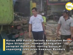 Legislator Agus Uriansyah Pantau Penataan Pohon, Dorong Lingkungan Jalan Teluk Bayur Lebih Asri dan Aman