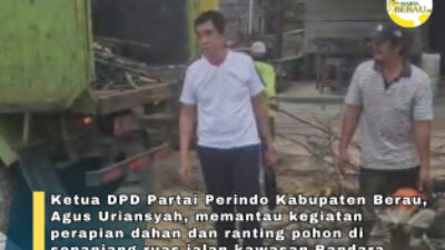 Legislator Agus Uriansyah Pantau Penataan Pohon, Dorong Lingkungan Jalan Teluk Bayur Lebih Asri dan Aman