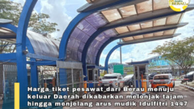 Harga Tiket Pesawat dari Berau Melonjak Tajam Jelang Mudik, Pemerintah Pusat Beri Diskon