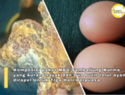 Waduh!!, Wali Murid Kecewa Dalam Kurma Menu MBG  Ramadhan di Sambaliung Ada Telur Rayap Kecil