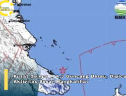 Pusat Gempa M 4,3 Guncang Berau, Dipicu Aktivitas Sesar Mangkalihat