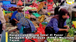 Harga Cabai Tiung Lokal Tembus Rp300 Ribu per Kg di Pasar Sanggam Adji Dilayas