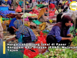 Harga Cabai Tiung Lokal Tembus Rp300 Ribu per Kg di Pasar Sanggam Adji Dilayas