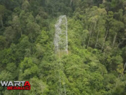 Tiga Tower Transmisi Patah, Berau Kehilangan Suplay Energi Listrik Hingga 11 MW